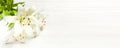 Bouquet of white lilies on a white wooden background top view. Flowers lily beautiful bouquet white flowers Royalty Free Stock Photo