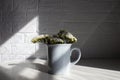 Bouquet of white limonium in a blue cup on the table