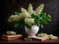 A bouquet of white lush lilacs in a ceramic vase Royalty Free Stock Photo