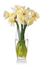 Bouquet from white narcissus in vase Royalty Free Stock Photo