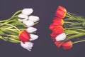 A bouquet of white and one red tulips on the left side, a bouquet of red and one white tulips on the right side Royalty Free Stock Photo