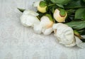 A bouquet of white peonies