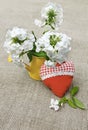 Bouquet of white phloxes Royalty Free Stock Photo