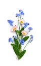 Bouquet with white pink english daisy and blue flowers forget-me-not on white background. Top view, flat lay Royalty Free Stock Photo