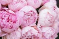 Bouquet of white pink peonies closeup, flowers background