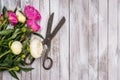 Bouquet of white and pink peonies flowers and vintage scissors on white painted wooden planks. Top view. Royalty Free Stock Photo