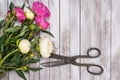 Bouquet of white and pink peonies and vintage scissors on white wooden. Space for custom text. Square image. Top view. Royalty Free Stock Photo