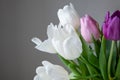 A bouquet of white, pink and purple tulips on a uniform light background. Royalty Free Stock Photo