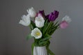 A bouquet of white, pink and purple tulips on a uniform light background in a simple white vase. Royalty Free Stock Photo
