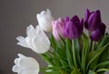 A bouquet of white, pink and purple tulips on a uniform light background. Royalty Free Stock Photo