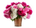 Bouquet of white, pink and red peonies in a copper bucket isolated on white background Royalty Free Stock Photo