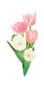 A bouquet of white and pink tulips, hand-drawn watercolor illustration.