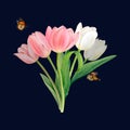 A bouquet of white and pink tulips, hand-drawn watercolor illustration. Two butterflies enliven the picture.