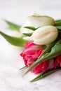 Bouquet of white and pink tulips in the hands of a child on a light background close up Royalty Free Stock Photo