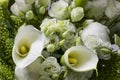 Bouquet of white pure flowers