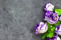 bouquet of white and purple flowers isolated on red background. Royalty Free Stock Photo