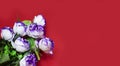 Bouquet of white and purple flowers isolated on red background. Royalty Free Stock Photo