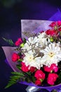 Bouquet of white and red flowers in purple paper on black background, vertical photo Royalty Free Stock Photo