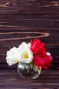 Bouquet of white and red tulips on dark wooden board background. Holiday gift card, celebration frame. Mockup with flowers. Copy Royalty Free Stock Photo