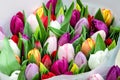 Bouquet of white, red, yellow, purple, violet tulips Royalty Free Stock Photo