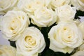 Bouquet white rose closeup Royalty Free Stock Photo