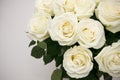 Bouquet white rose closeup Royalty Free Stock Photo