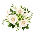 Bouquet of white roses and freesia flowers. Vector illustration.