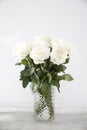 Bouquet of white roses in a glass vase on a beige table against a gray wall. Copy space Royalty Free Stock Photo