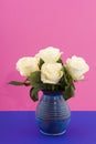 Bouquet white roses on pink and blue Royalty Free Stock Photo