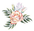 A bouquet of white roses with a pink edge, leaves, berries, decorative twigs. Watercolor illustrations for the design of