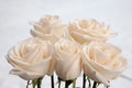 Bouquet of white roses in vase