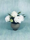 Bouquet of white roses in a vase. White roses in green vase on green background. Royalty Free Stock Photo