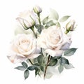 White Dream Rose Watercolor Painting On White Background For Mobile