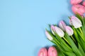 Bouquet of white tulip spring flowers and pink easter eggs in corner of light blue background with blank copy Royalty Free Stock Photo
