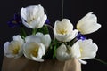 Bouquet of a white tulips and blue irises in the paper bag on a