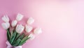 Bouquet of white tulips flowers on pink background. Card for Mothers day, 8 March, Happy Easter. Waiting for spring Royalty Free Stock Photo