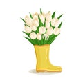 Bouquet of white tulips flowers in rubber boot. Spring composition for women's day, mother's day, easter and Royalty Free Stock Photo