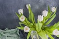 Bouquet of white tulips in a vase on a gray background. Flowers as a gift for your favorite person. Copy spce Royalty Free Stock Photo