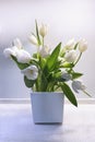 Bouquet white tulips in white vase stands on table, stock photo