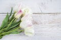 Bouquet of white tulips with waterdrops on white paint wooden background.