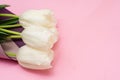 Bouquet of white tulips wrappen in pink paper. Minimal nature flat lay. Greeting card for Mother`s Day and March 8th. Tender Royalty Free Stock Photo