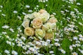 A bouquet of white and yellow roses in a field of daisies Royalty Free Stock Photo