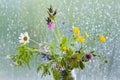 Bouquet of wild European spring flowers in a jar in front of a window with raindrops