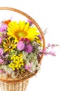 Bouquet of wild flowers Royalty Free Stock Photo