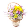 Bouquet of wild flowers Royalty Free Stock Photo