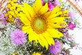 Bouquet of wild flowers Royalty Free Stock Photo