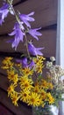 Bouquet of wild flowers on the background of the log wall