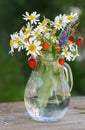 Bouquet of wild flowers and berries in a glass jug Royalty Free Stock Photo