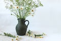 Bouquet of wild flowers in a ceramic vase on a background of lace napkin Royalty Free Stock Photo