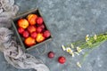 Bouquet of wild flowers chamomile with fruits of nectarines and plums in a wooden box Royalty Free Stock Photo